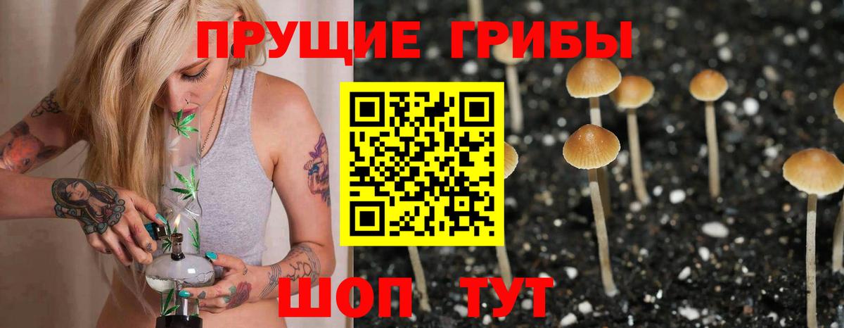 Псилоцибиновые грибы прущие грибы  Галлюциногенные грибы Psilocybine cubensis  Красноуфимск  Вход с VPN 